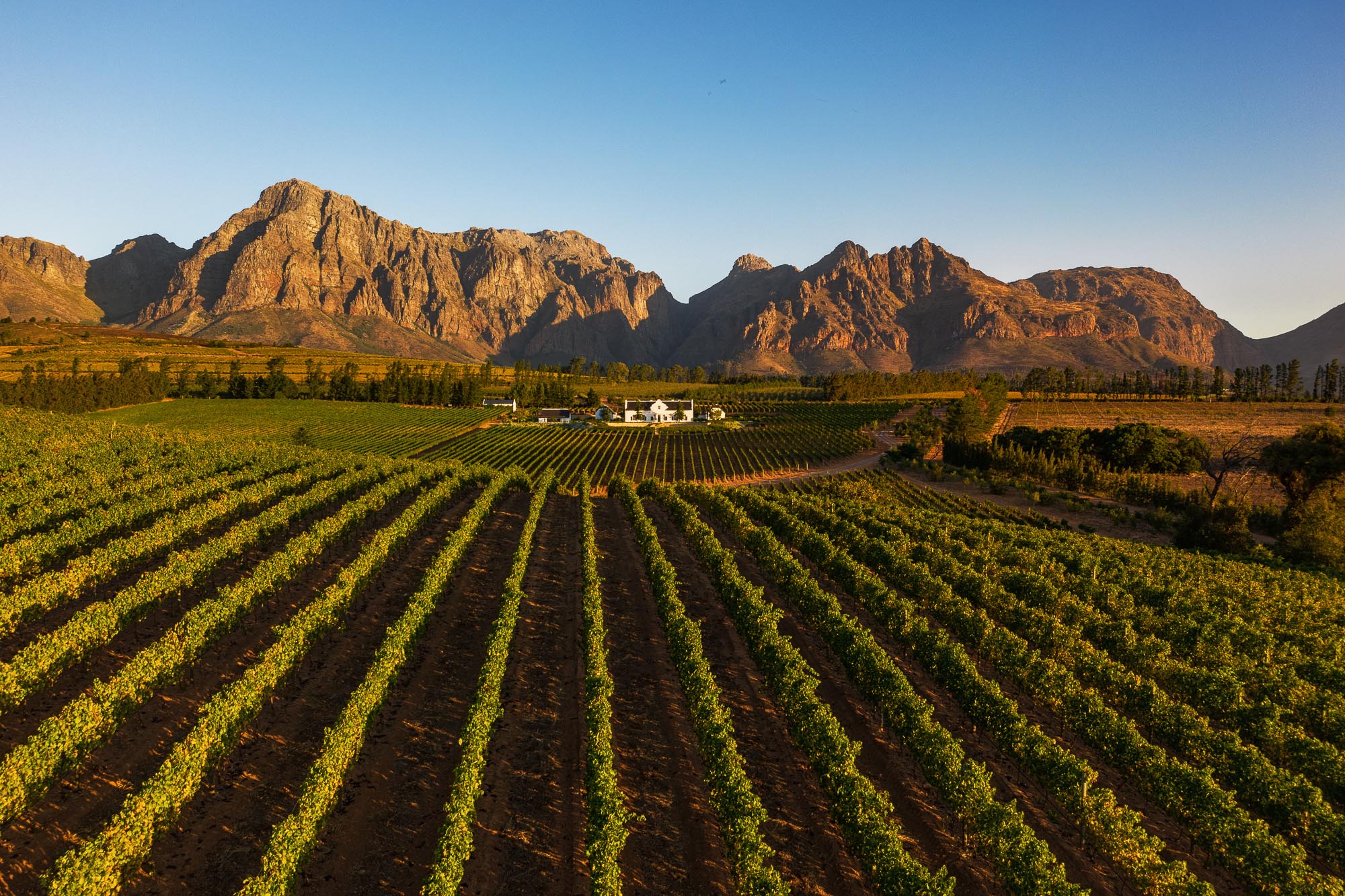 Brookdale Estate just after sunset with Paarl mountain views and vineyards