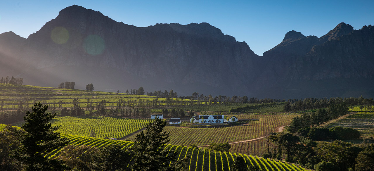Brookdale Manor House private villa surrounded by vineyards in front of the Paarl Mountains